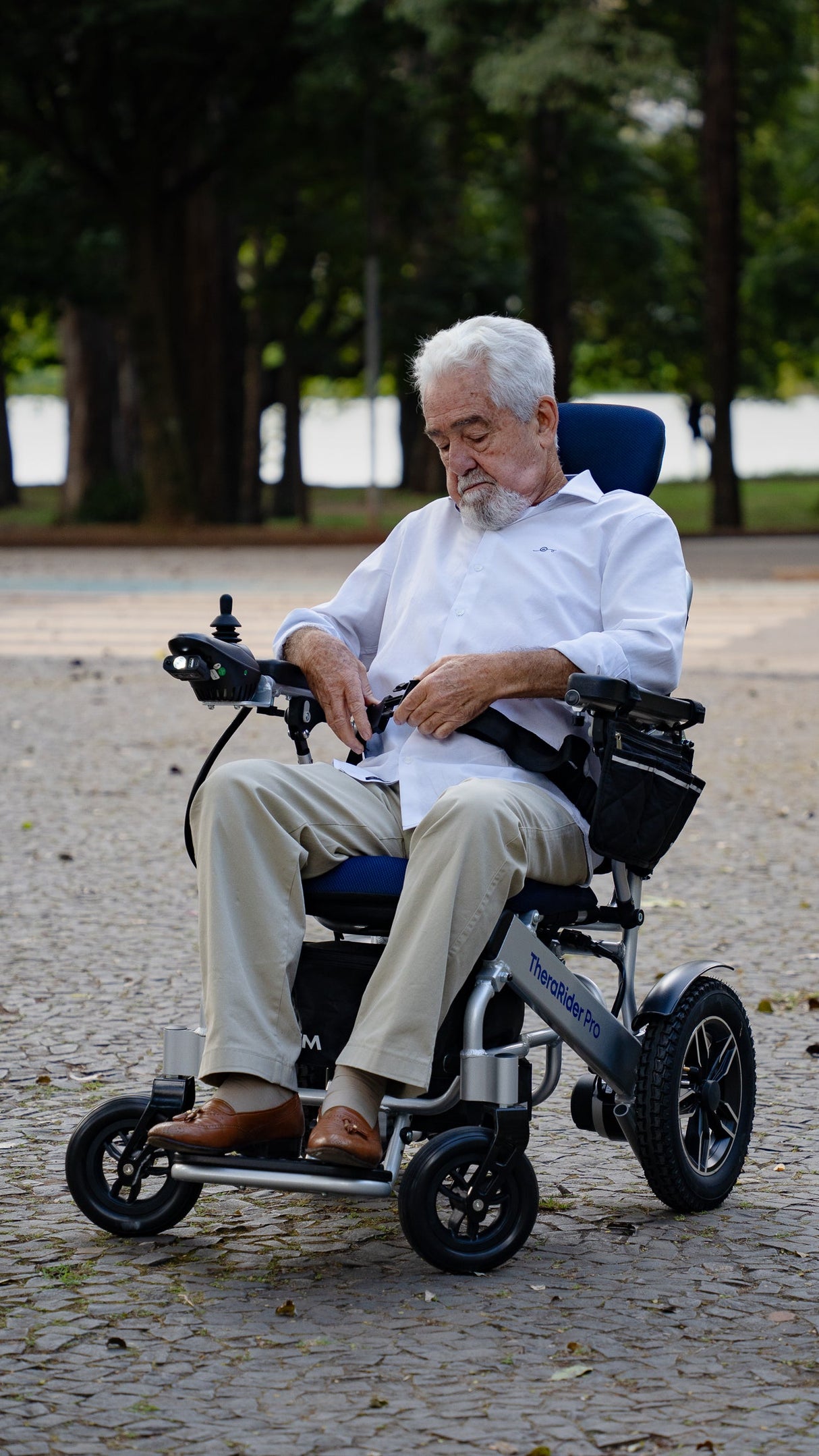 Silla de Rueda TheraRider Pro Theramart